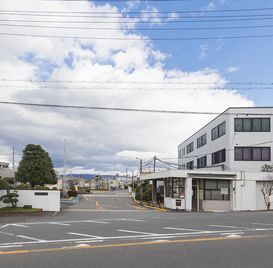 Kyoto Plant